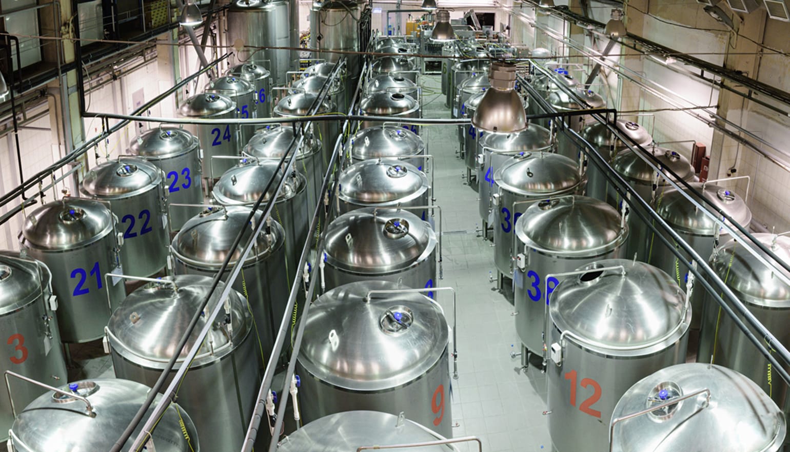 A factory for the production of beer. Long rows of glossy metal tanks.